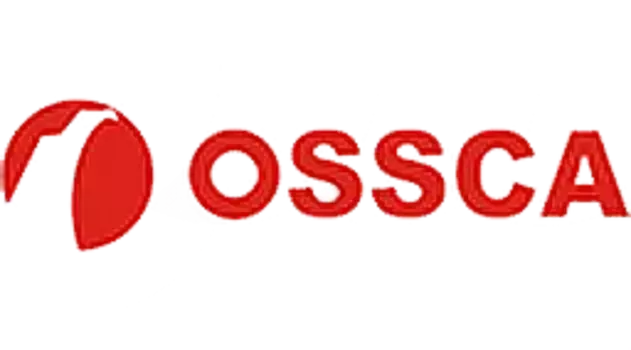 Тормозные колодки дисковые OSSCA 24152