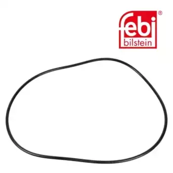 уплот. кольцо !255x5 планетар. передачи задн. моста \MB 08008 FEBI