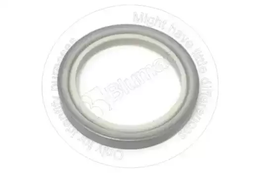 УПЛОТНЕНИЕ СТЕКЛООЧИСТИТЕЛЯ 4J8981 ST BLUMAQ