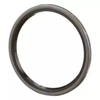 Уплотнительное кольцо (83931281) 87061147 CASE IH