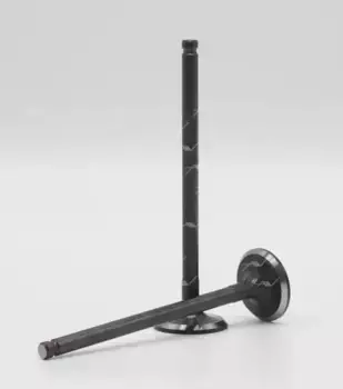 VE-32016 клапан вып KIA A5D DOHC 16V 25x5.5x95.5 (10702070/120118/0003549, ГЕРМАНИЯ) AUTOWELT