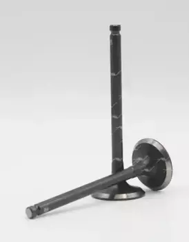 VI-31021 клапан впуск MAZDA ZL/ZM 29.2x6x91 (10013160/020919/0341937, ТАЙВАНЬ (КИТАЙ)) AUTOWELT