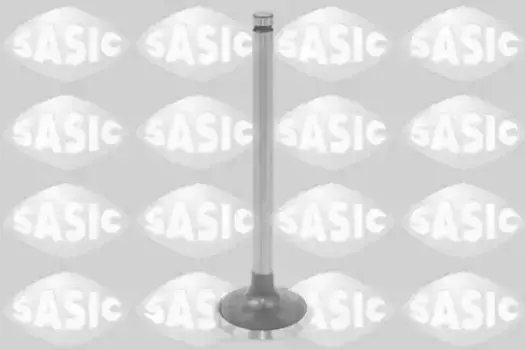 Впускной клапан 1600003 SASIC