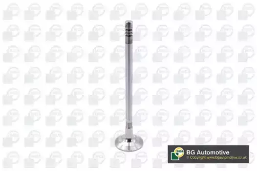 Выпускной клапан V204955 BGA