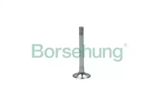 Выпускной клапан ! \VW MULTIVAN VI 2.0 TDI (15>), MULTIVAN VI 2.0 TDI 4motion (15>), TRANSPORTER / C B18999 BORSEHUNG