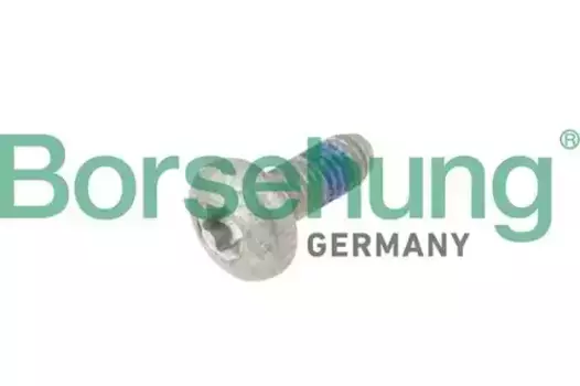 винт передней крышки двигателя! M6x16\ Audi, SEAT, Skoda, VW 07> B10646 BORSEHUNG