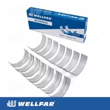 вкладыши коренные! к-т STD\ RVI Kerax/Midlum/Premium дв.DCI 002-206120-000 WELLFAR