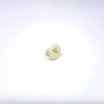 втулка крепления панели заднего бампера!\ Audi A4 00>/A6 04> 8D0807300A VAG