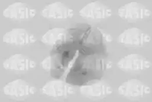 втулка стабилизатора центральная! d22\ Peugeot 207 all 07> 2300031 SASIC