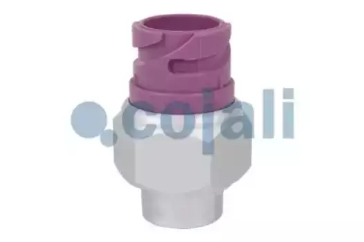 выключатель пневматический! 5.8bar \Omn MAN TGL/TGM, TGA/TGS/TGX, SL/S,NL/NG/N/ND/NM,Lions 2260259 COJALI