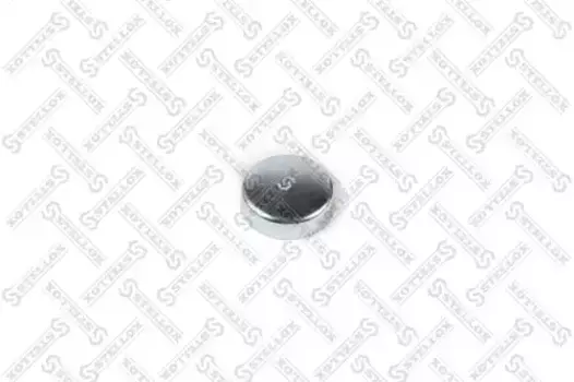 заглушка блока цилиндров! 02543, D=34mm\ MB W123/W124  75-52754-SX STELLOX