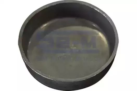 заглушка ГБЦ! (м) d=45\ DAF 14806 SE-M