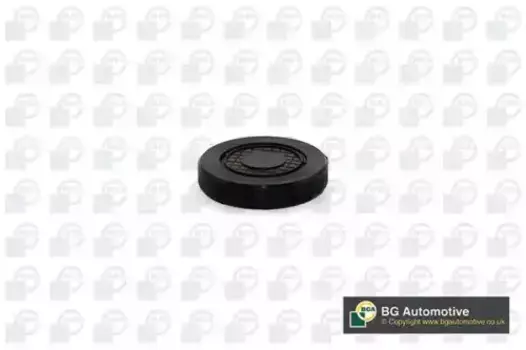 заглушка ГБЦ!\ Renault Megane/Duster 1.6/2.0 00>, Opel Vivaro 2.0 00-14 PL4602 BGA