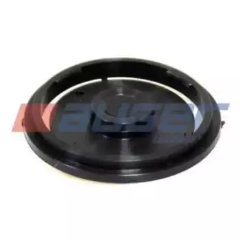 заглушка! (п) пальца рессоры\ RVI Premium/Magnum/Maxter/Midliner/Kerax 59044 AUGER