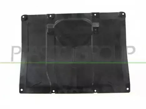 защита двигателя! BMW X3-G01 17-21 BM8081900 PRASCO