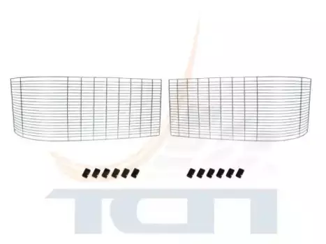 Защита фар TSP T901179