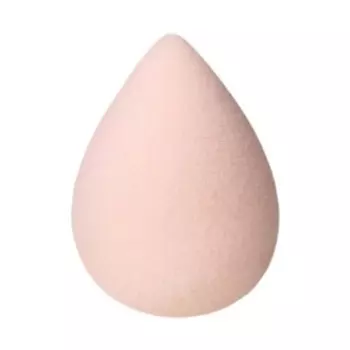 Blender Makeup Sponge