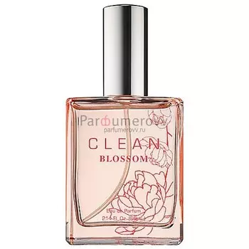 Clean Blossom