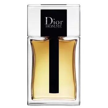 Dior Homme (2020)