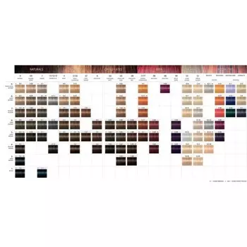 Палитра красок Schwarzkopf Professional