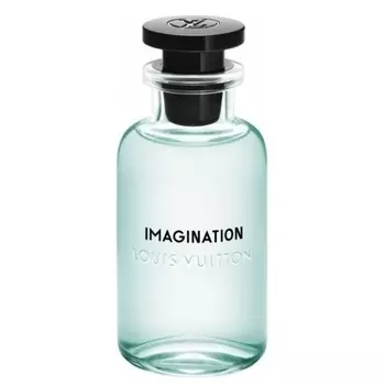 Imagination