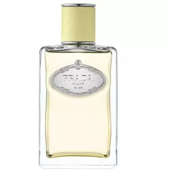 Infusion de Gingembre