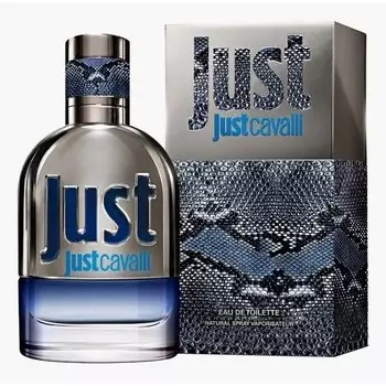 Just Cavalli 2013 Him