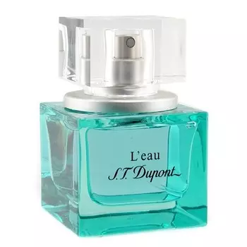 L'Eau de S.T. Dupont Pour Homme