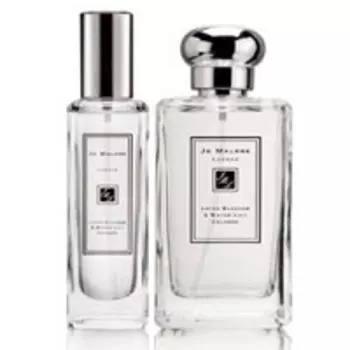 Lotus Blossom & Water Lily