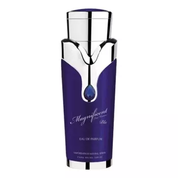 Magnificent Blue Pour Homme