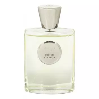 Mister Colonia