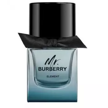Mr. Burberry Element
