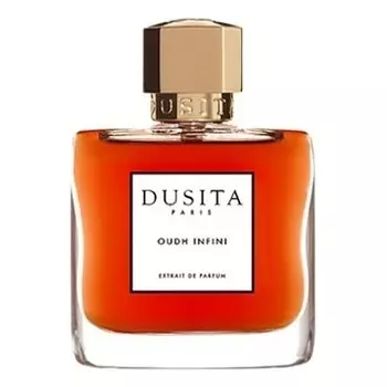 Oudh Infini