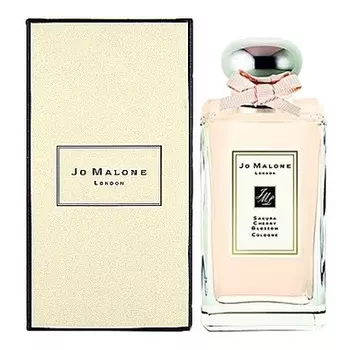 Sakura Cherry Blossom