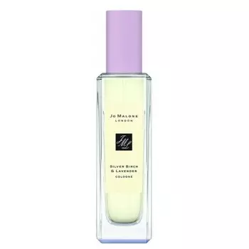 Silver Birch & Lavender (Lavenderland Collection)