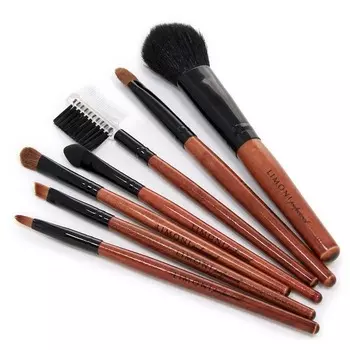 Набор кистей Limoni