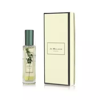 Sorrel &amp; Lemon Thyme