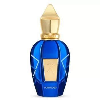 Torino23