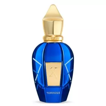 Torino23