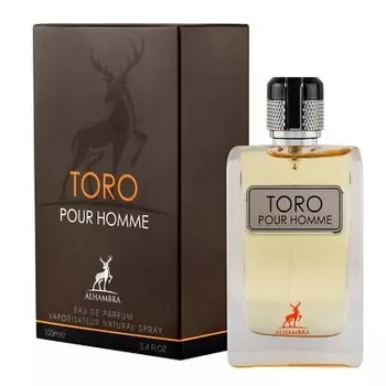 Toro Pour Homme (по мотивам Terre d'Hermes)