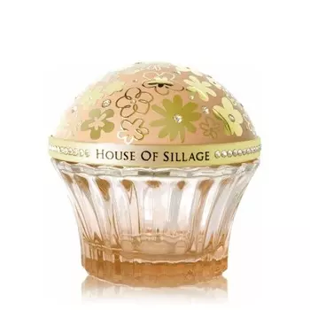 Whispers of Enlightenment