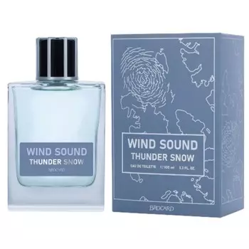 Wind Sound Thunder Snow