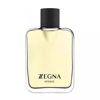 Z Zegna Intenso