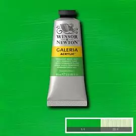 Акрил Winsor&Newton "Galeria" 60 мл Перманентный зеленый светлый