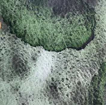 Акварель "Handy" кювета 2 мл, Таёжный