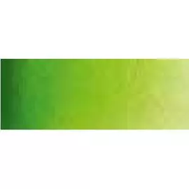 Акварель Pinax в тубе 15 мл W243 Травяная зеленая