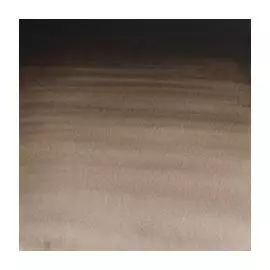 Акварель Winsor&Newton "Professional" в тюбике 14 мл Сепия