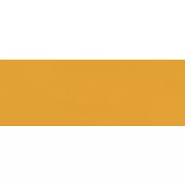 Акварель жидкая Talens "Ecoline" 30 мл Охра насыщенная, флакон с капельницей