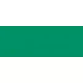 Акварель жидкая Talens "Ecoline" 30 мл Зеленый лес, флакон с капельницей