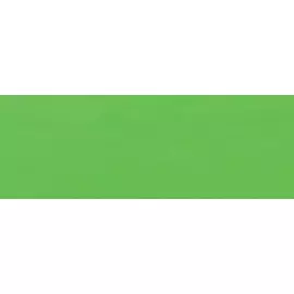 Акварель жидкая Talens "Ecoline" 30 мл Зеленый светлый, флакон с капельницей